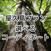 屋久島セット 選べるコーディネート（レディース）